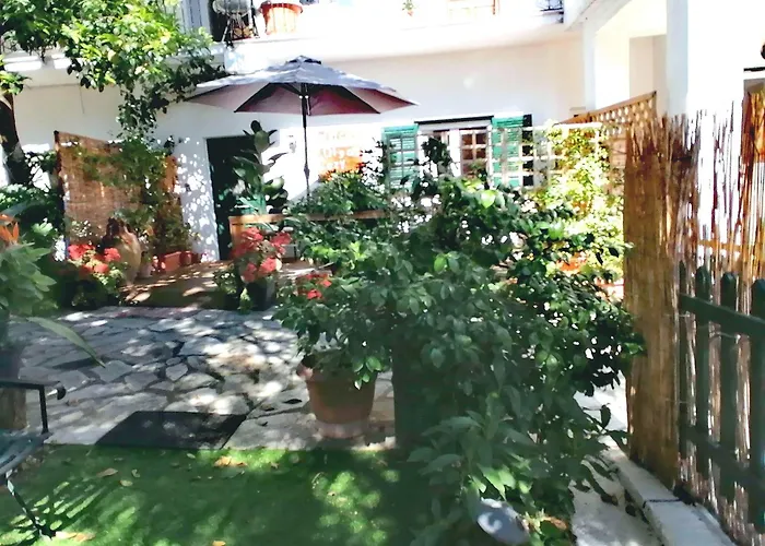 Apartment Olgas Cozy Nest Apartment With Private Garden Quiet Stay Near Dassia Beach Ano Korakiana