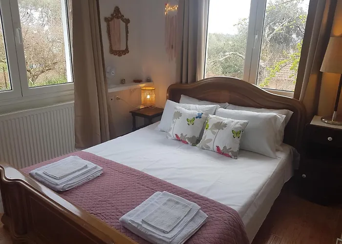Olga's Cozy Nest , In Ano Korakiana. *