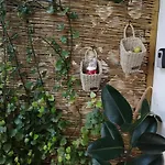Olgas Cozy Nest Corfu Retreat Garden Near Dassia Apartmán