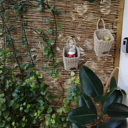 Olgas Cozy Nest Corfu Retreat Garden Near Dassia Lägenhet