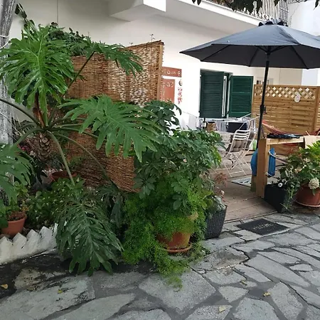 Olgas Cozy Nest Corfu Retreat Garden Near Dassia