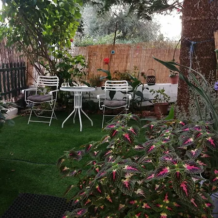 Olgas Cozy Nest Corfu Retreat Garden Near Dassia *