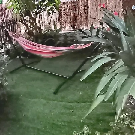 Olgas Cozy Nest Corfu Retreat Garden Near Dassia * Áno Korakiána