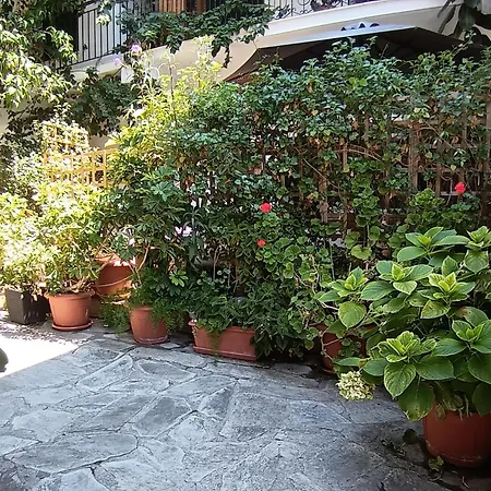 Olgas Cozy Nest Corfu Retreat Garden Near Dassia Apartamento Áno Korakiána