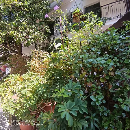 Olgas Cozy Nest Corfu Retreat Garden Near Dassia Άνω Κορακιάνα