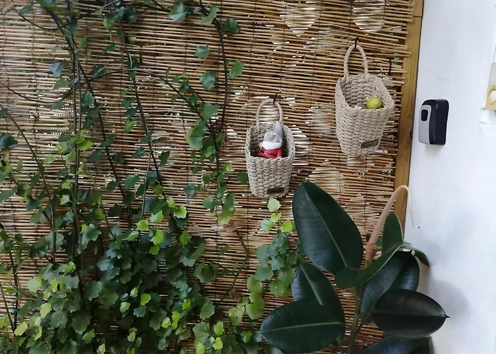 Olgas Cozy Nest Corfu Retreat Garden Near Dassia 아파트