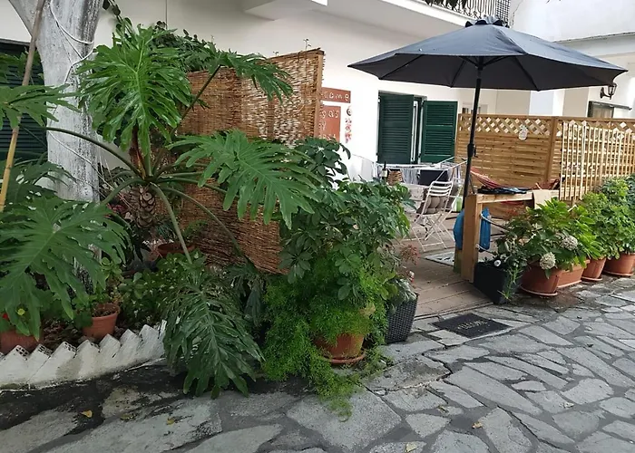 Olgas Cozy Nest Corfu Retreat Garden Near Dassia