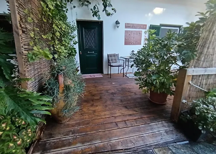 Olga's Cozy Nest , In Ano Korakiana. *
